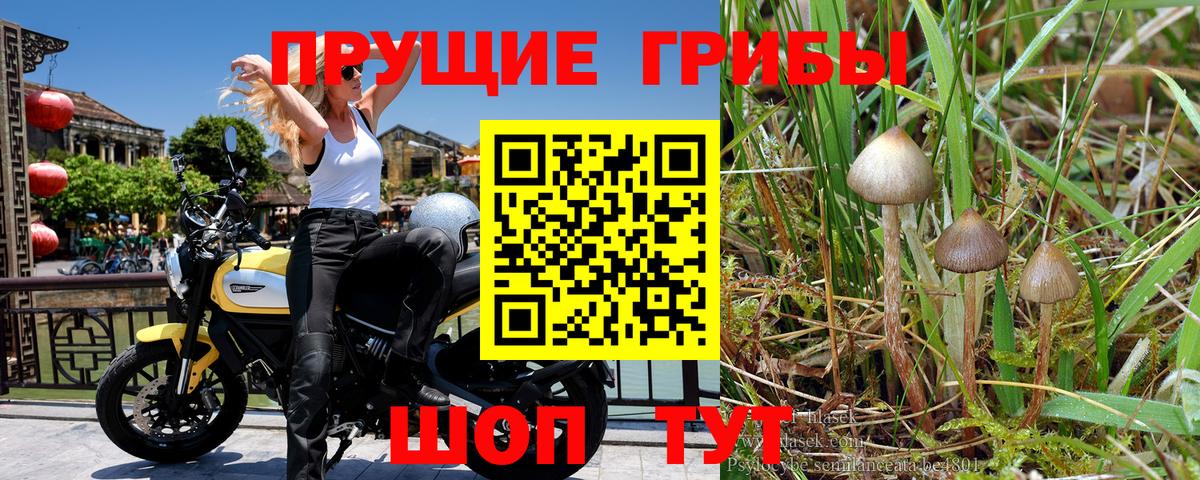 цена наркотик  Вход с VPN  Галлюциногенные грибы Psilocybe  Пермь  Галлюциногенные грибы мухоморы 