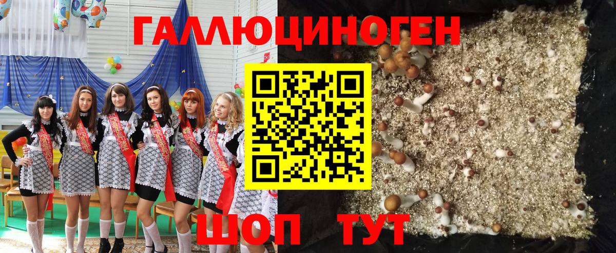 Псилоцибиновые грибы мухоморы Пермь